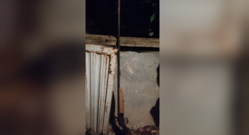 Idoso é suspeito de matar a esposa por engano após ouvir barulho, achar que ladrão tinha invadido a casa da família e atirar, em Goiânia